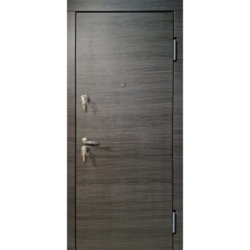 Metal door L300 Aplot - from 659.00€