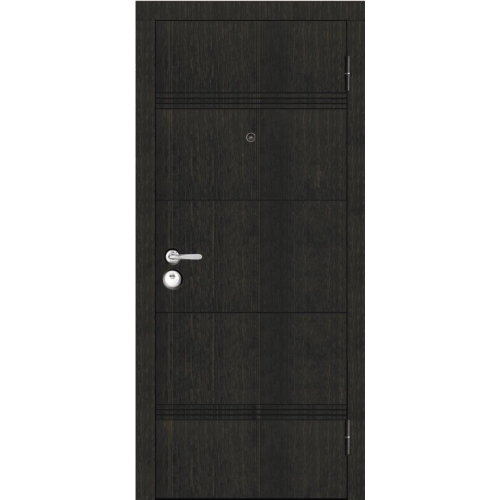 Metal door Horizont Aplot - from 579.00€