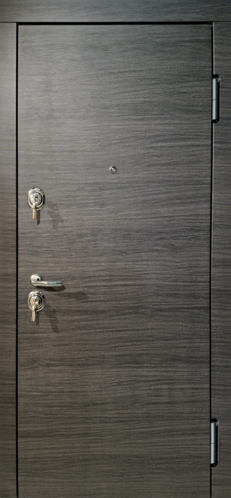Aplot Metal door L300 Aplot - from 659.00€
